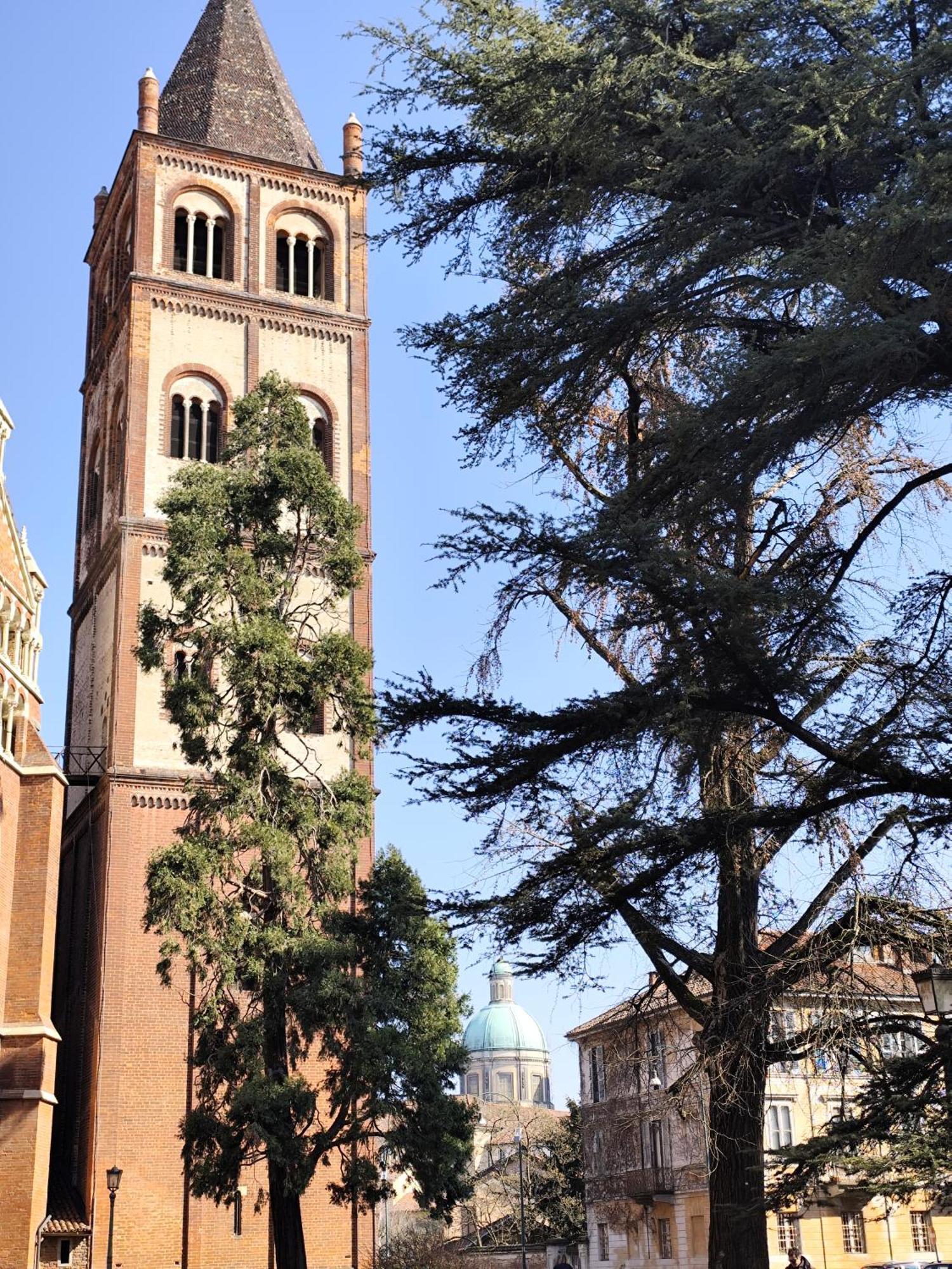 Loft Piazza Cavour Верчелли Экстерьер фото